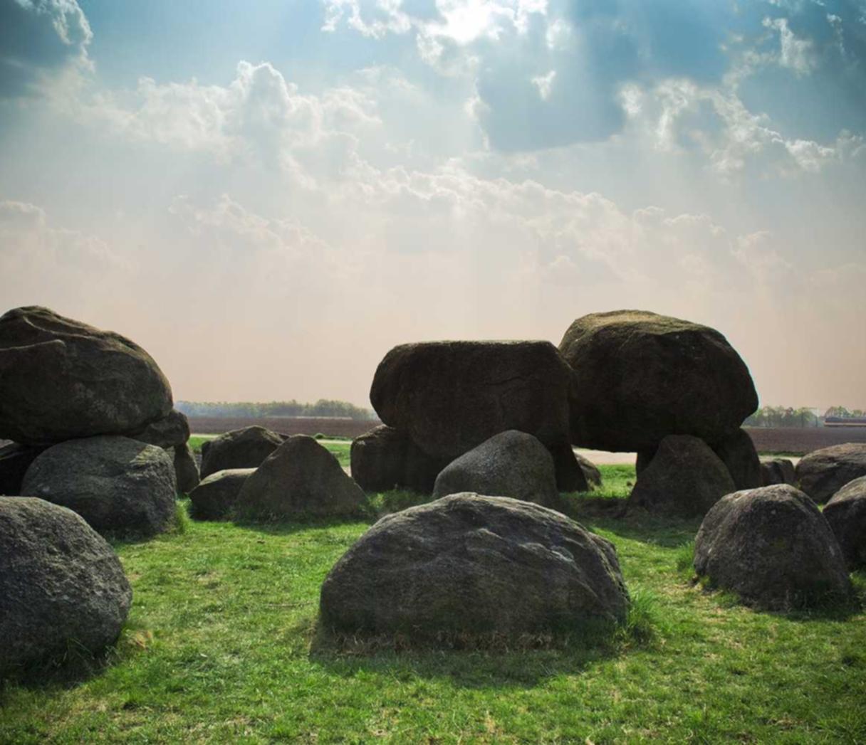 炸房器|红杏app如何详情下载教程